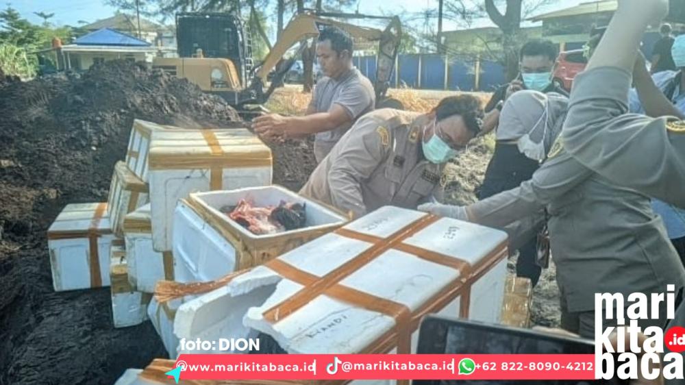 1 Ton Daging Babi Dimusnahkan, Dibakar dan Dikubur, Ini Alasanya