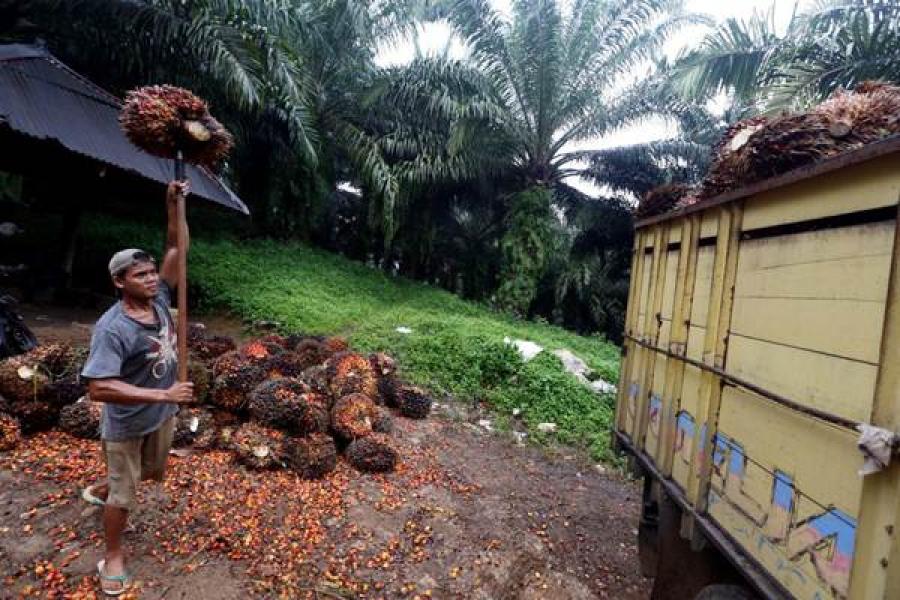 Ada Gelombang PHK, Kuasa Hukum Minta Maaf