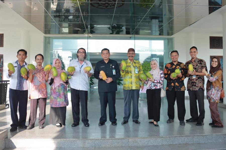 Blue Green Babelku Panen Pepaya California