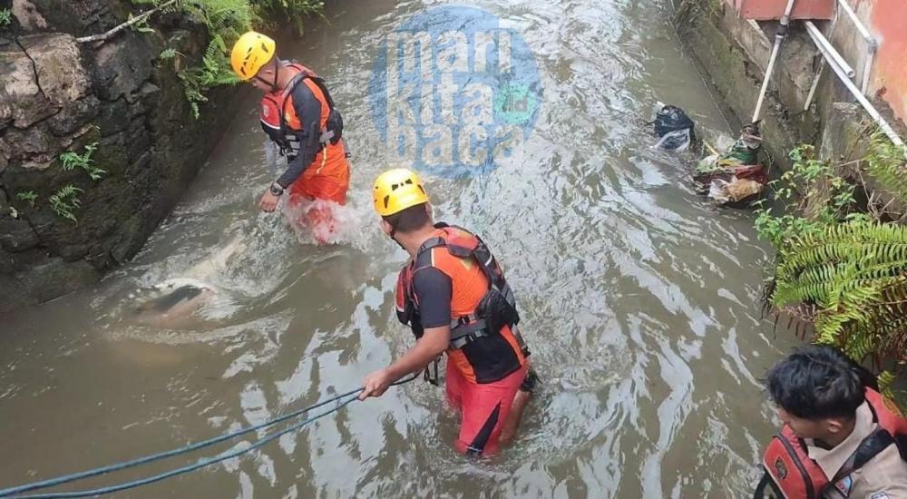 Cahaya, Pulanglah Nak