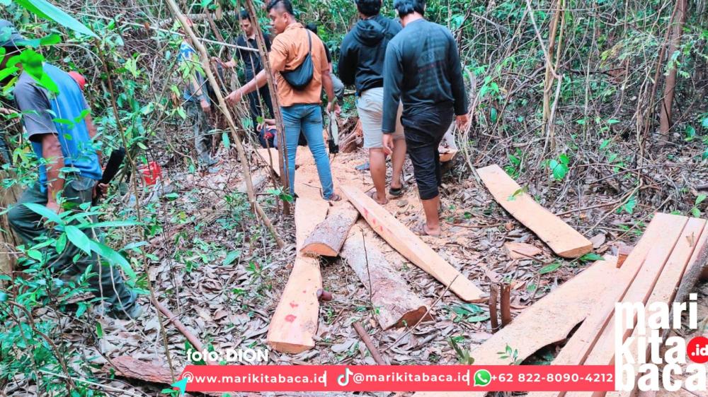 Ini Dia Orang yang Menggunduli Hutan Menumbing