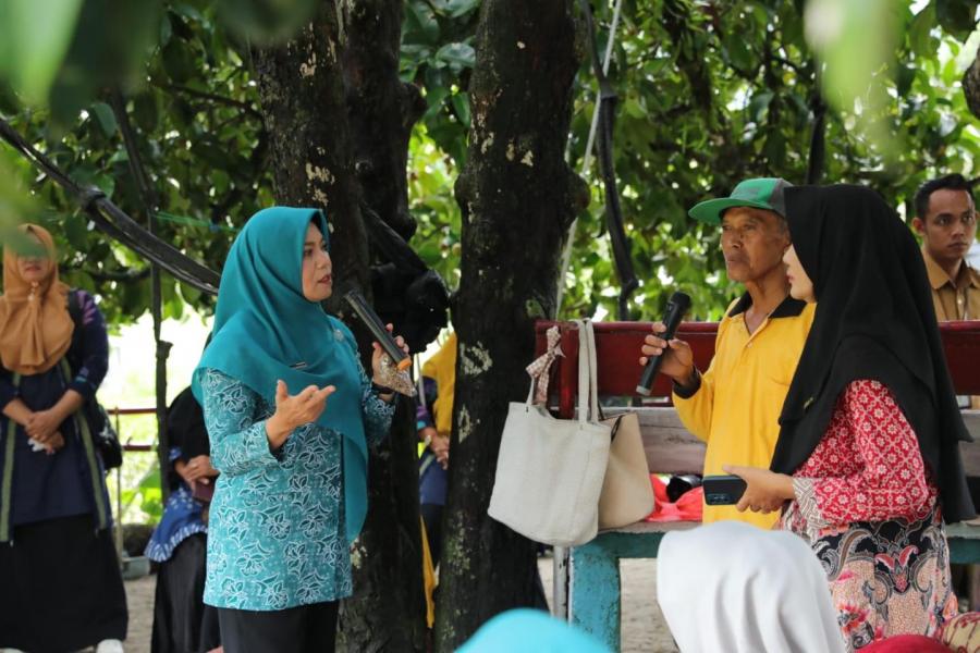 Kunjungi Dasa Wisma Nanas, Safriati Safrizal Dorong Komoditi Nanas Jadi Icon Unggulan