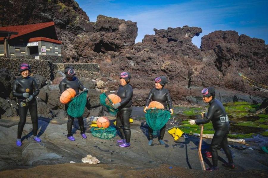 Para Haenyeo, Penyelam Perempuan dari Jeju yang Menyelam Tanpa Masker Oksigen