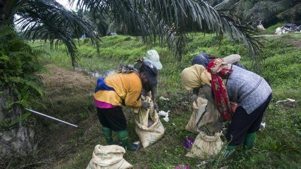 Pj Gubernur, Adakah Cara Selamatkan Korban PHK Massal?