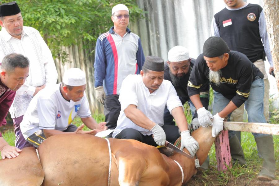 Plh Pj Gubernur Babel Fery Afriyanto Sembelih Hewan Kurban