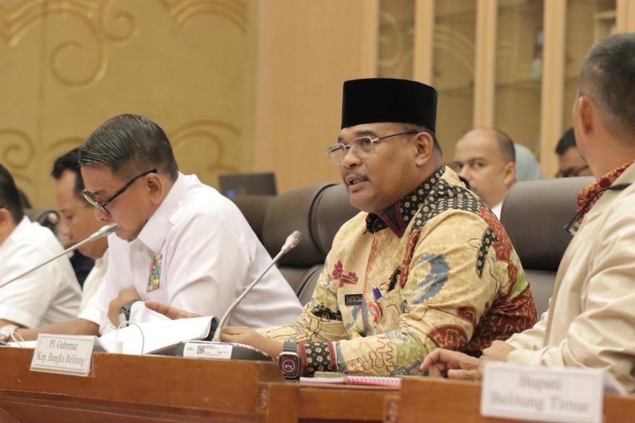 Temui Komisi VII DPR RI, Pj Gubernur Safrizal Perjuangkan Aspirasi Masyarakat Terkait Pertambangan Rakyat