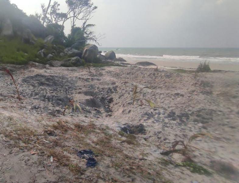 Tepian Pantai Tanjung Berikat Diobrak-abrik Penambang, Siapa di Belakang Mereka